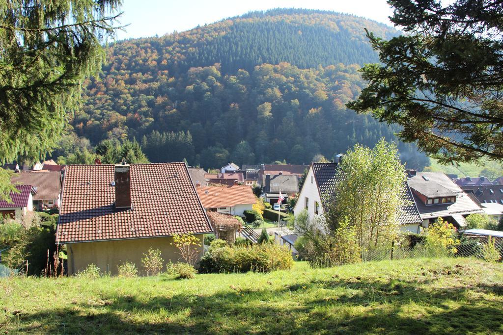 Haus Panoramablick Villa Sieber Oda fotoğraf