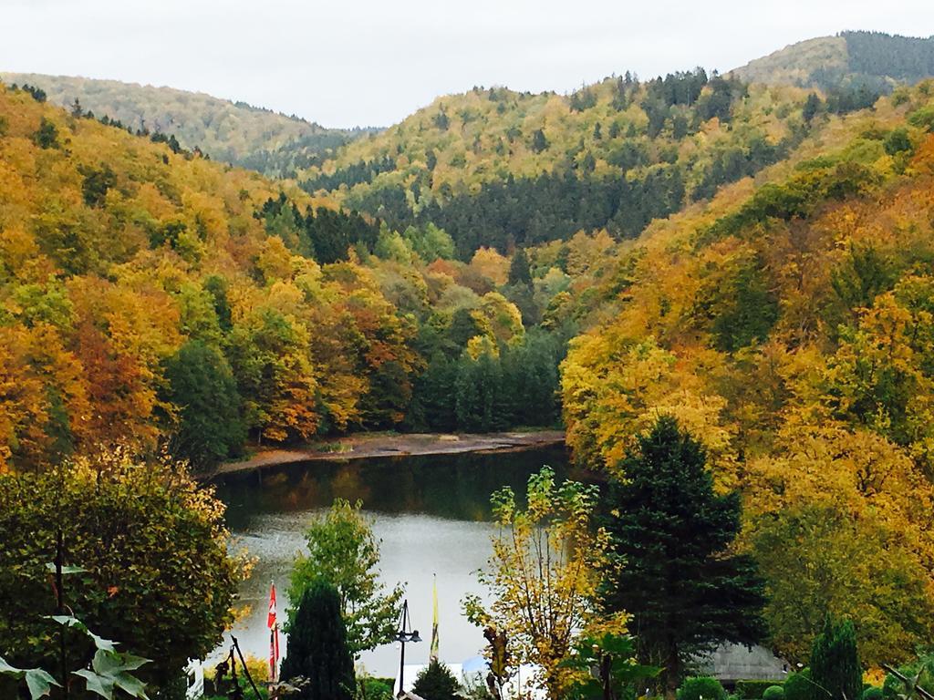 Haus Panoramablick Villa Sieber Oda fotoğraf